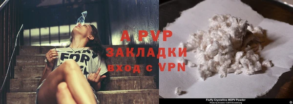 индика Лихославль