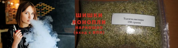 индика Лихославль