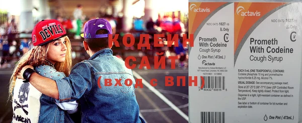 индика Лихославль