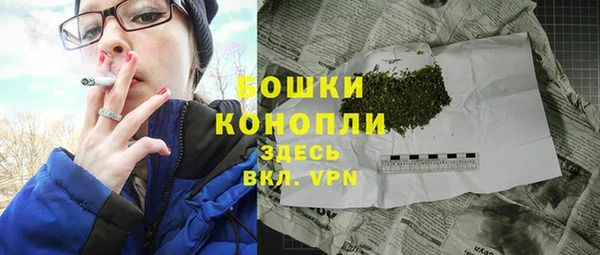 индика Лихославль