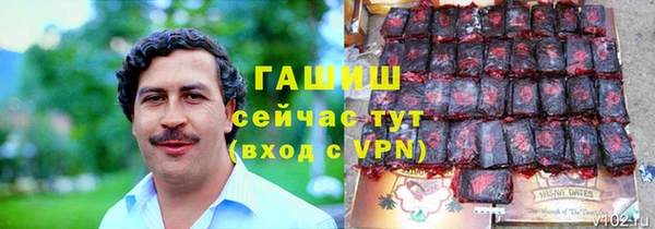индика Лихославль