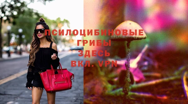ешки Липки