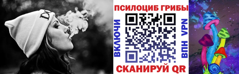 Псилоцибиновые грибы Magic Shrooms  Чадан 